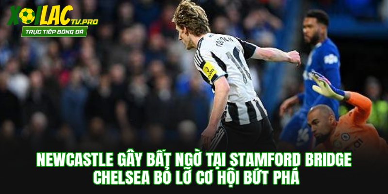 Để Thua Newcastle, Chelsea Bỏ Lỡ Cơ Hội Bứt Phá